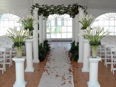 Wedding Arches