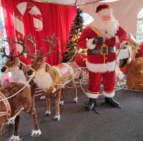 Reindeer 9 Reindeers Pulling Sleigh With Santa