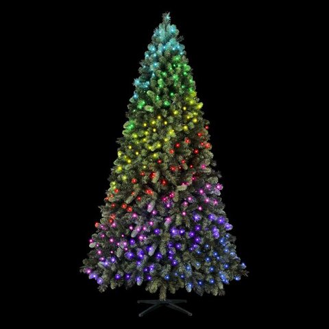 C-Twinkly Carolina Spruce 7.5