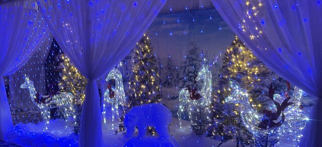 Christmas Display with BD