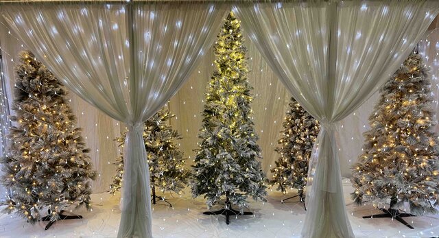 C-Flock Tree Display