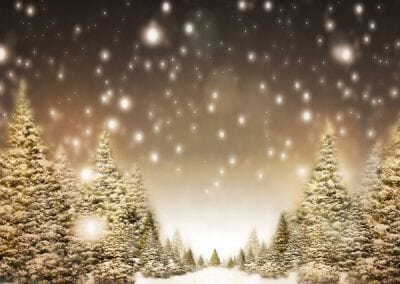 BD-Christmas-Tree-Path