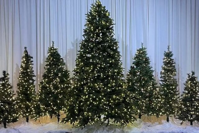 C-Christmas Trees with Snow