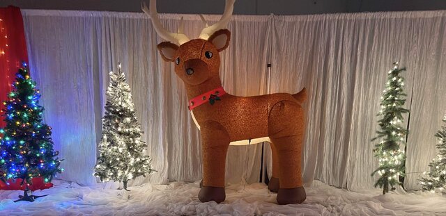 LG Reindeer Prop