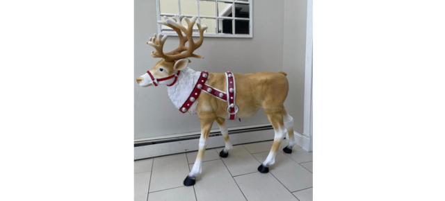 Reindeer