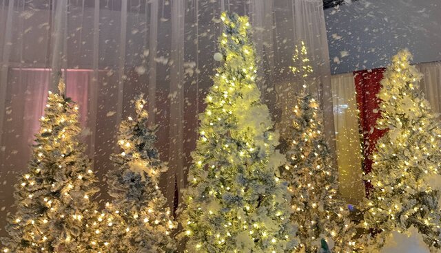 C-Christmas-Flock Trees and Snow