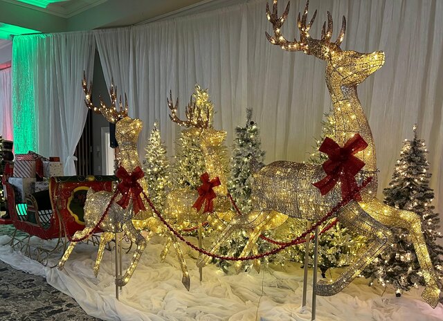 Reindeer -TreesandReindeer