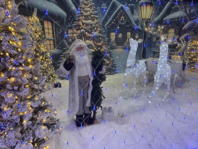 Christmas Winter Wonderland Display