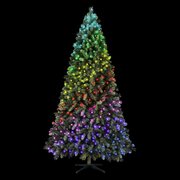 C-Twinkly Carolina Spruce 7.5