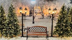 Trees, Lights and B.B.