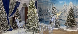 Reindeer Deer Display