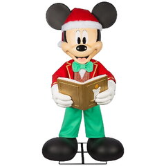 Disney Lg Mickey