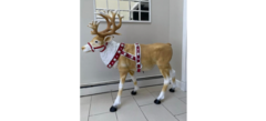 Reindeer