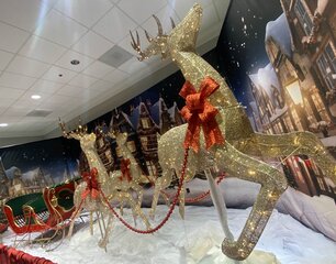 Reindeer lg gold