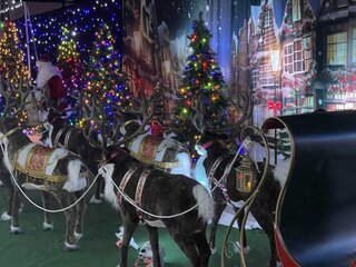 Christmas Santa and Deers