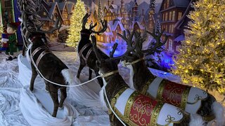 SantaDeersSledTown