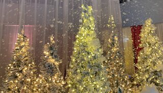 C-Christmas-Flock Trees and Snow