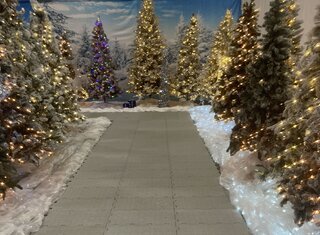 Christmas Winter Wonderland2