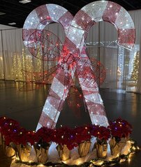 Red Candy Cane & Red Flower