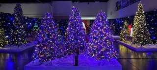 C-Christmas Tree Maze