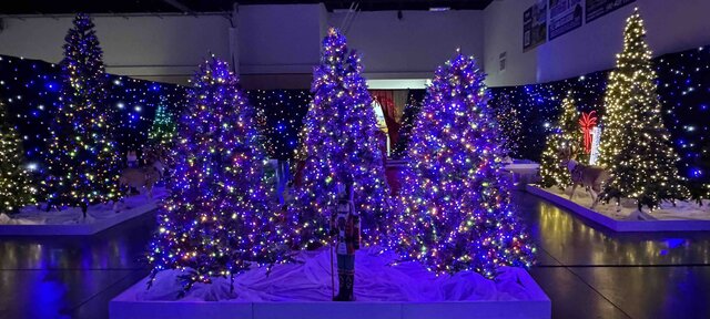 C-Christmas Tree Maze