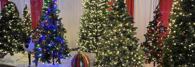 C-Christmas-Tree Display 2